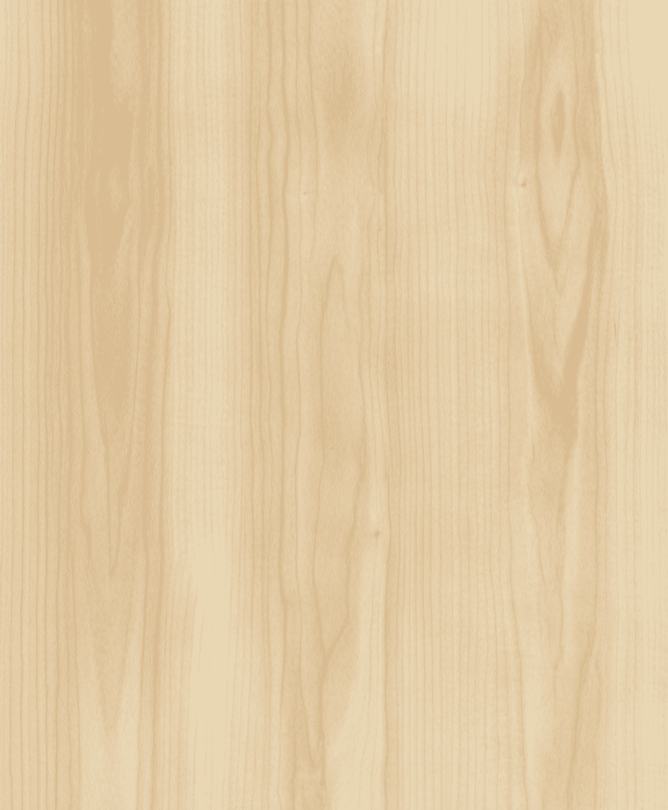 Birch custom kitchen cabinetry solutions. Precision-crafted wood millwork for interior design projects across British Columbia.