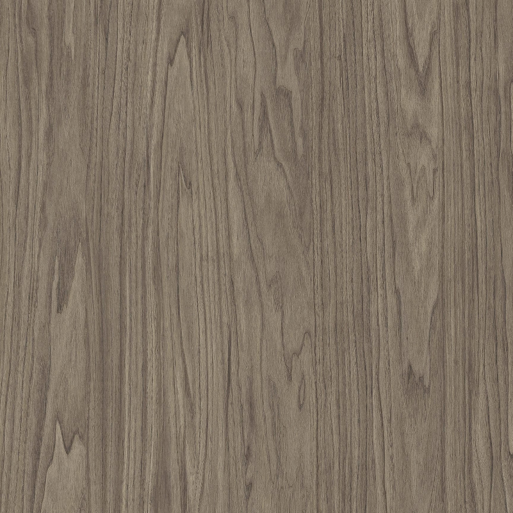 Weathered grey oak natural wood veneer swatch featuring striking cathedral grain. Custom architectural millwork finishes produced in Port Coquitlam, BC.