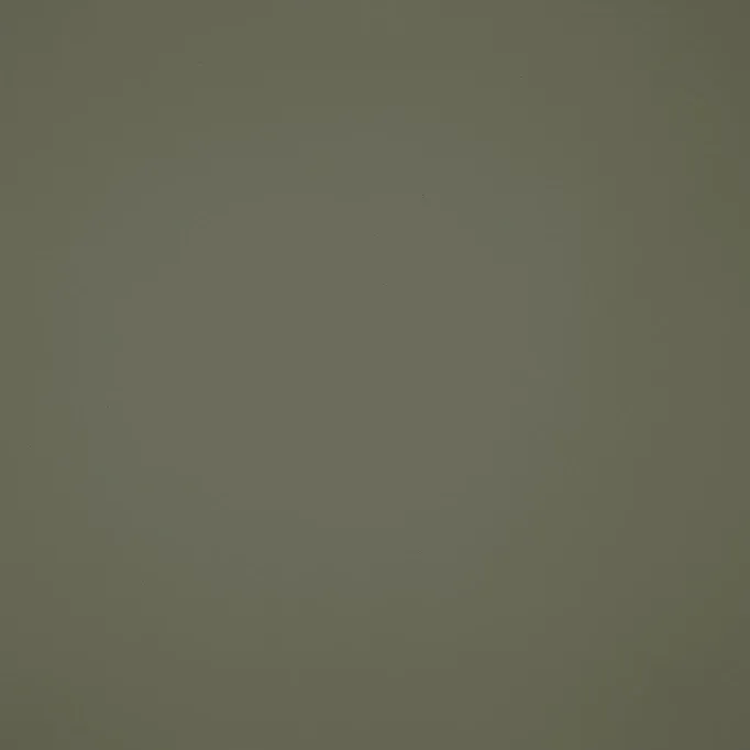 Moss khaki ultra-matte custom cabinet finish swatch. Manufactured at our Port Coquitlam millwork facility for Vancouver interior designers.